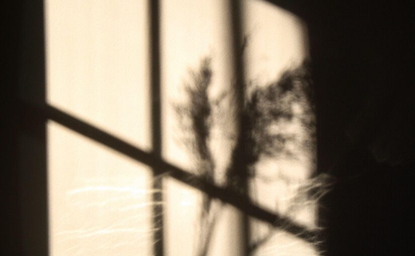 folding toward the light