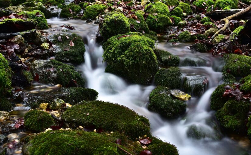 a lesson in patience from the riverbed