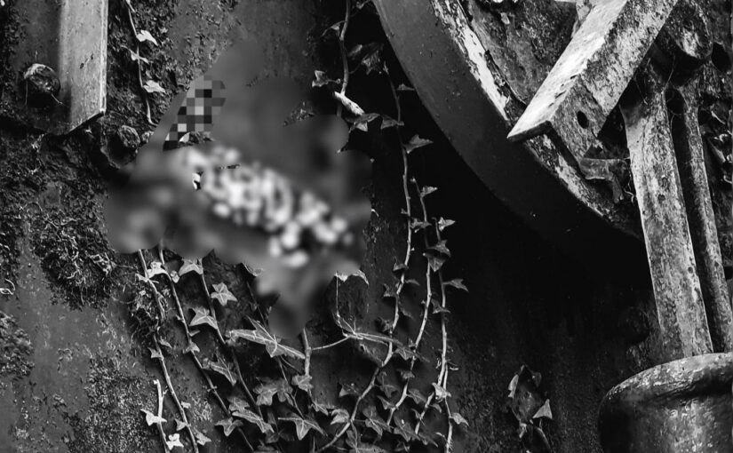 ruin is a human word