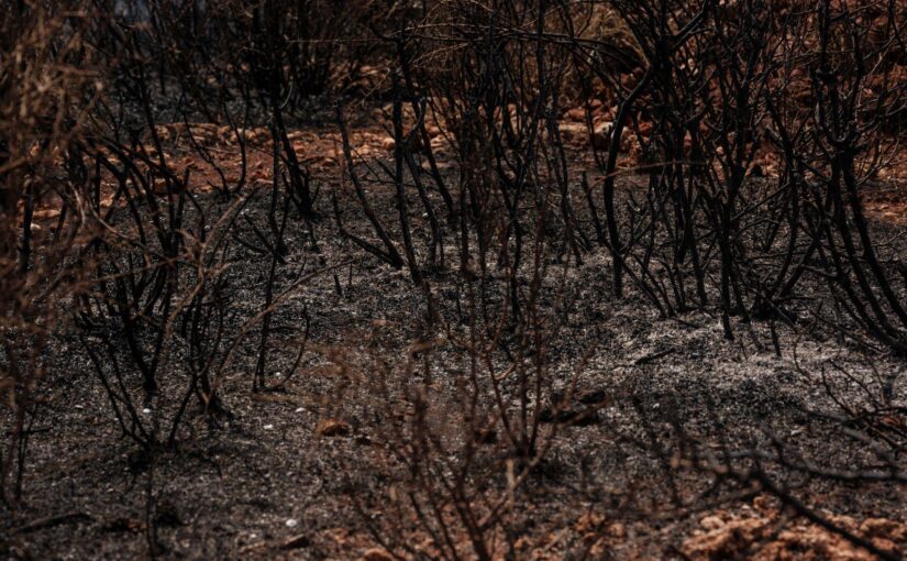 tunguska, years later