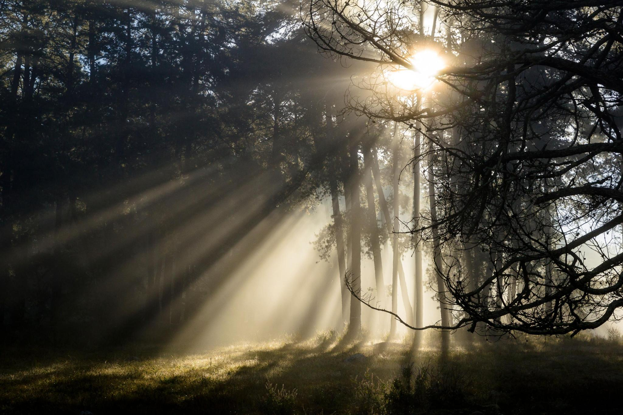 where the light bends around us