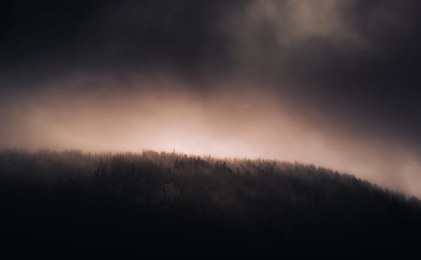 the gravity of predatory light