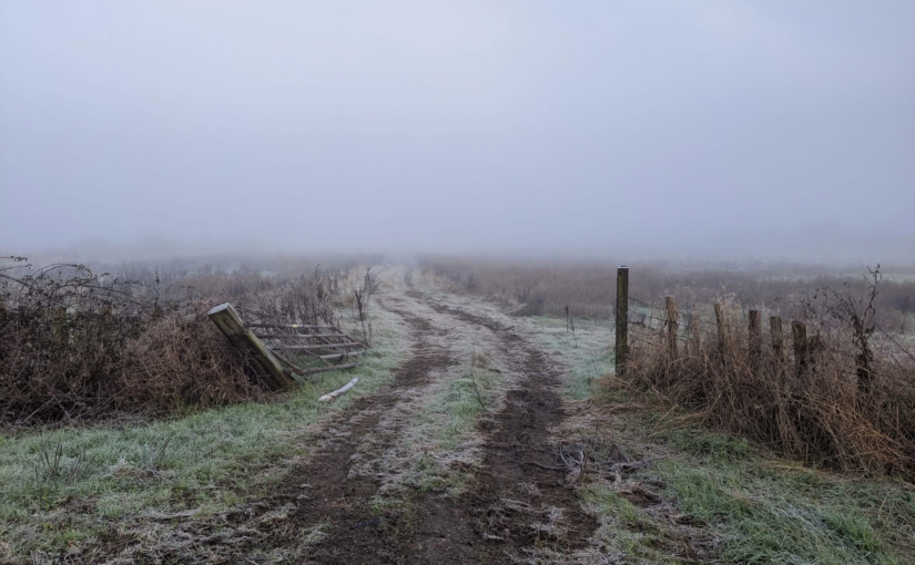the field that reaps the sickle