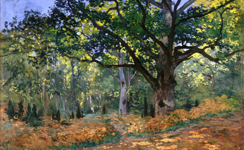 the rings of the hurt in the trees